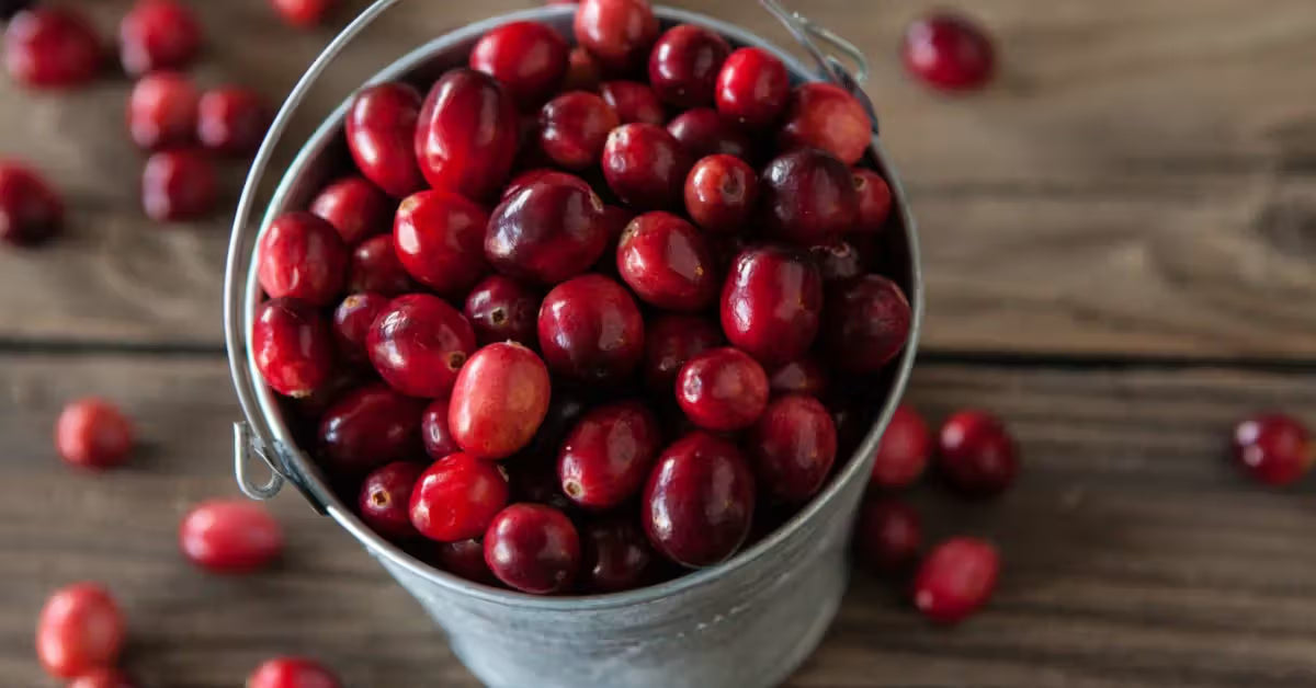 Health Benefits of Cranberry
