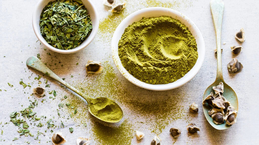 What Does Moringa Do to Your Body: Top Science-Backed Health Benefits