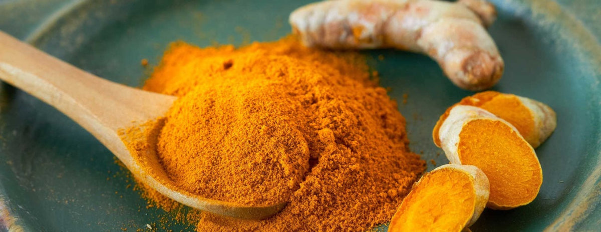 Understanding the Benefits of Turmeric and Curcumin