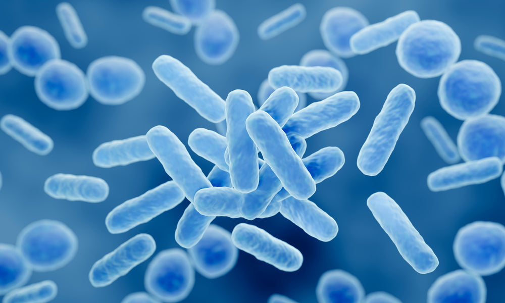 Flora-Focus® 10 Probiotics Strains