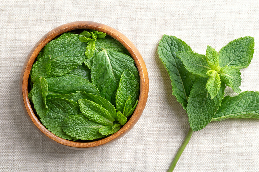 Organic Peppermint Leaf