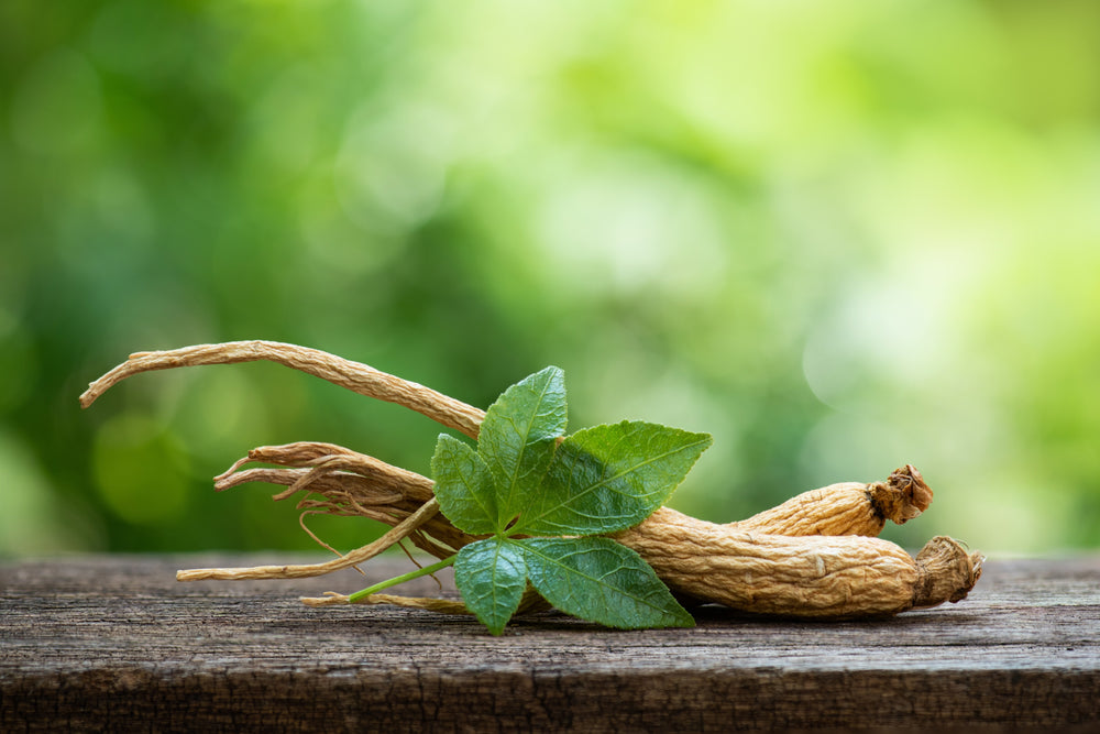 Korean Ginseng